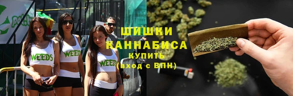 винт Алексеевка