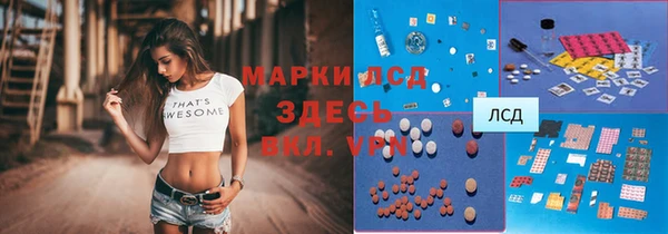 крисы Алексин