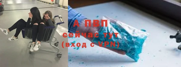 крисы Алексин