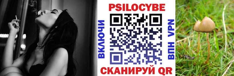Купить  Усть-Джегута  Псилоцибиновые грибы Psilocybe 